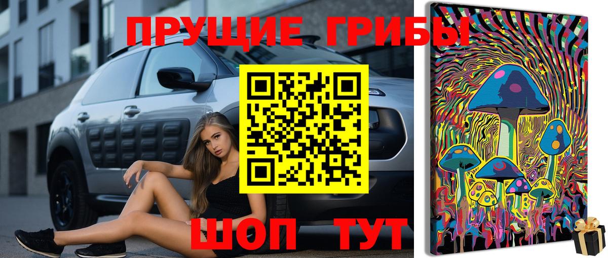Галлюциногенные грибы Psilocybe  Вход с VPN  Ессентуки 